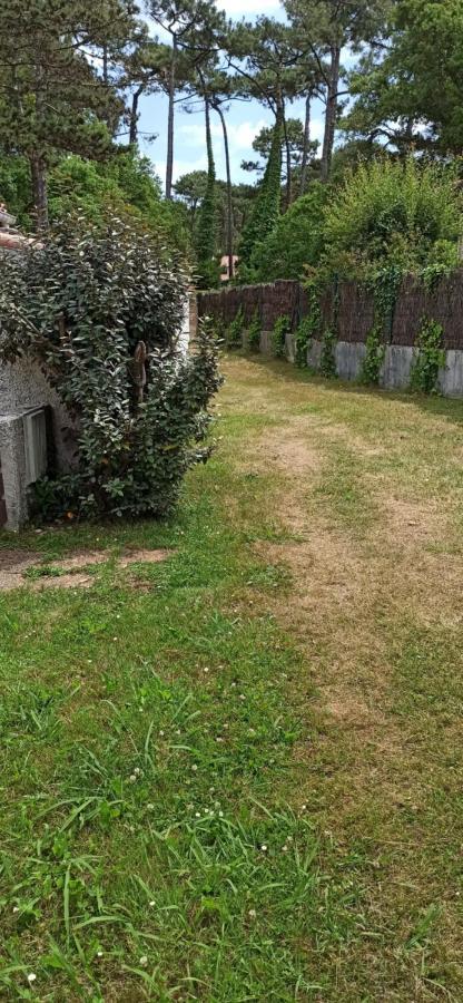 Charmante Villa Patio Proche De L'Ocean セノッス - ル・ペノン エクステリア 写真